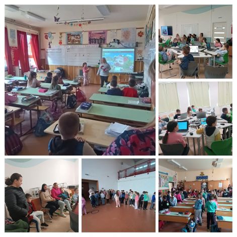 722a8368-f78e-4c4a-8aa7-8e5841ffc155-collage.jpg
