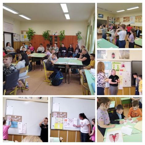ee03a25e-430b-4b37-90bd-4e9091c042ed-collage.jpg